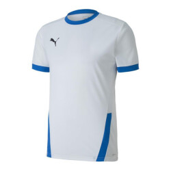 Puma Heren teamgoal 23 jersey