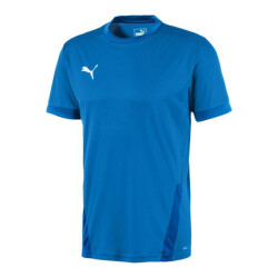 Puma Heren teamgoal 23 jersey
