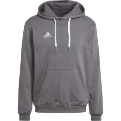 Adidas Heren entrada 22 hoodie