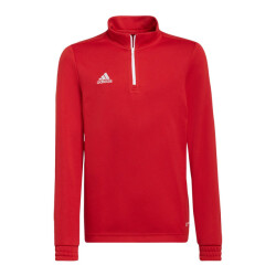 Adidas Kinder/kids entrada 22 trainings top