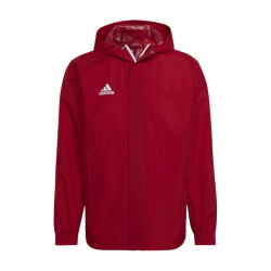 Adidas Heren entrada 22 all weather jas
