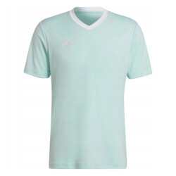 Adidas Heren entrada 22 jersey