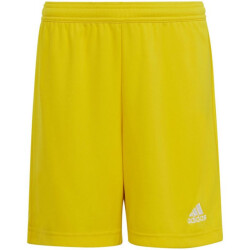 Adidas Kinderen/kinderen entrada 22 korte broek