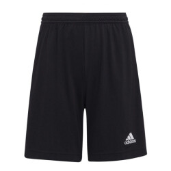 Adidas Kinderen/kinderen entrada 22 korte broek