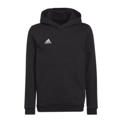 Adidas Kinderen/kinderen entrada 22 hoodie