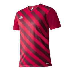 Adidas Heren entrada 22 grafische trui