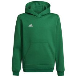 Adidas Kinderen/kinderen entrada 22 hoodie