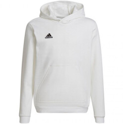 Adidas Kinderen/kinderen entrada 22 hoodie