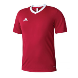 Adidas Heren entrada 22 v hals voetbal jersey