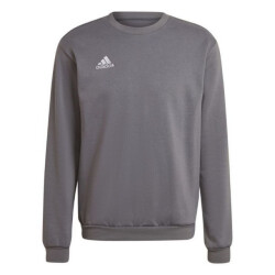 Adidas Heren entrada 22 sweatshirt