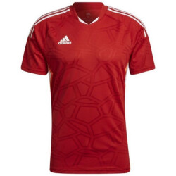 Adidas Heren condivo 22 wedstrijd jersey
