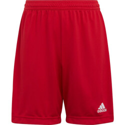 Adidas Kinderen/kinderen entrada 22 korte broek
