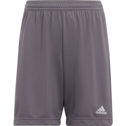 Adidas Kinderen/kinderen entrada 22 korte broek