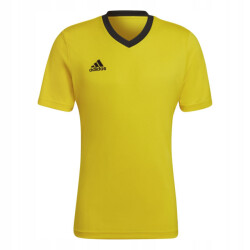 Adidas Heren entrada 22 jersey