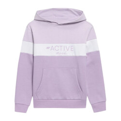 4F Kinderen/kleuters hjl22 jbld002 hoodie