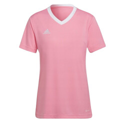 Adidas Dames entrada 22 jersey