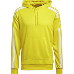 Adidas Heren squadra 21 hoodie