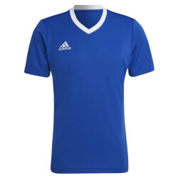 Adidas Heren entrada 22 voetbal jersey