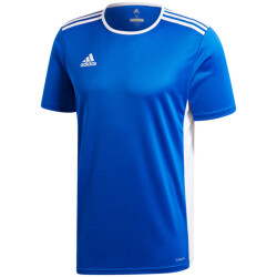 Adidas Heren entrada 18 voetbal jersey