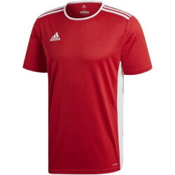 Adidas Heren entrada 18 voetbal jersey