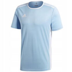 Adidas Heren entrada 18 voetbal jersey
