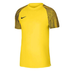 Nike Heren academy dri-fit jersey