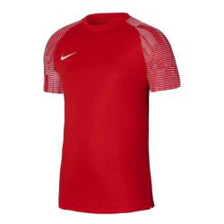 Nike Heren academy dri-fit jersey