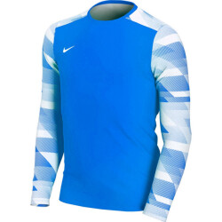 Nike Park iv dri-fit keeperstrui met lange mouwen voor kinderen/kinderen