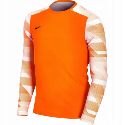Nike Park iv dri-fit keeperstrui met lange mouwen voor kinderen/kinderen