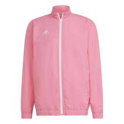 Adidas Heren entrada 22 presentatiejas
