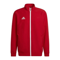 Adidas Heren entrada 22 presentatiejas