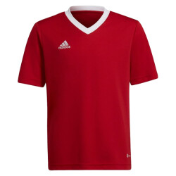 Adidas Kinder/kids entrada 22 trainings jersey