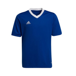 Adidas Kinder/kids entrada 22 trainings jersey