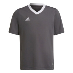 Adidas Kinder/kids entrada 22 trainings jersey