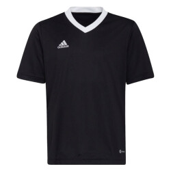 Adidas Kinder/kids entrada 22 trainings jersey
