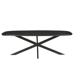 Livingfurn eetkamertafel jesper danish oval black 210cm mangohout / gecoat staal