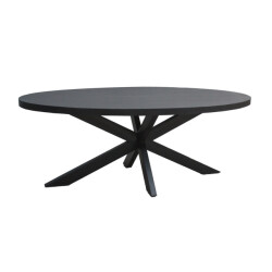 Livingfurn eetkamertafel kala oval spider 160cm mangohout / gecoat staal