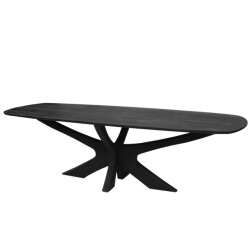 Brix eetkamertafel montreaux - mangohout 250 cm