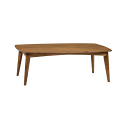Livingfurn salontafel elias 60x110x42cm mangohout
