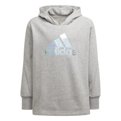 Adidas Meisjes groot logo hoodie