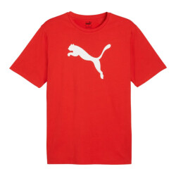 Puma Heren team rise logo katoenen jersey
