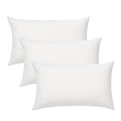 Gek op kussens! Set van 3 stuks binnenkussen 30 x 50 cm dons