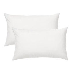 Gek op kussens! Set van 2 stuks binnenkussen 30 x 50 cm dons