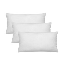 Gek op kussens! Set van 3 stuks binnenkussen 30 x 50 cm