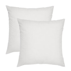 Gek op kussens! Set van 2 stuks binnenkussen | 40 x 40 cm | 300 gram | veren / dons