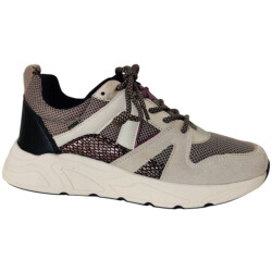 Poelman C18582x9psh46 sneaker