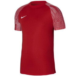 Nike Dri-fit jersey kinderen/kinderen
