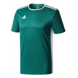 Adidas Kinderen/kinderen entrada 18 t-shirt