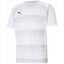 Puma Heren teamvision jersey