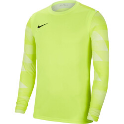 Nike Heren dry park iv keepershirt
